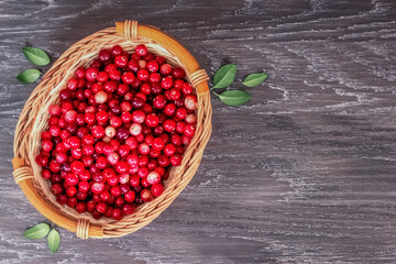ripe cranberries in a wicker basket on a wooden background. cranberry top view. background with cranberries.