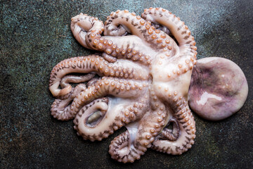 Fresh raw octopus on dark stone background close up, top view
