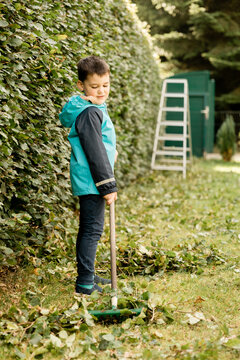 Boy in blue jacket collects leaves with a rake in the garden
