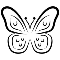 Butterfly Shape