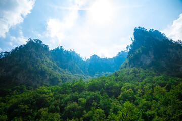 Naklejka premium Tall and enveloping green mountains in montenegro, durmitor national park