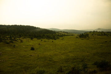 Empty fields after rain and during sunset, atmospheric photo of a meadow in montenegro