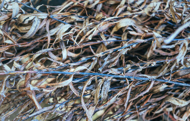 Fallen dry stale leaves. Autumn faded background	