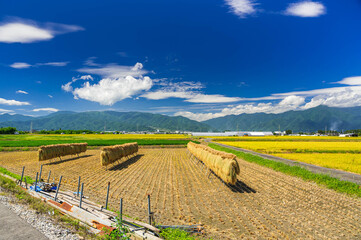 稲刈り頃の田舎の風景