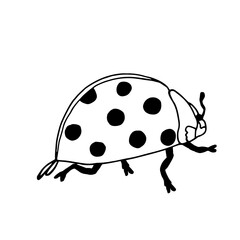 Outlined illustration hand drawing of ladybug isolated on white background. The best for children learning and colouring. Vector illustration.