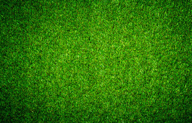 Green grass texture can be use as background - Powered by Adobe