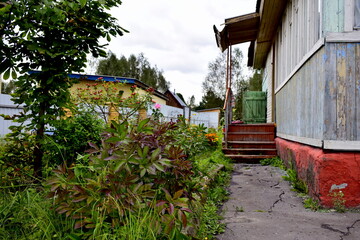 Fototapeta na wymiar overgrown flower bed near the house