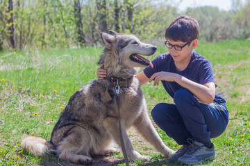 Boy hugging a alaskan malamute dog