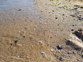 The beach is sandy on the beach. Coast.