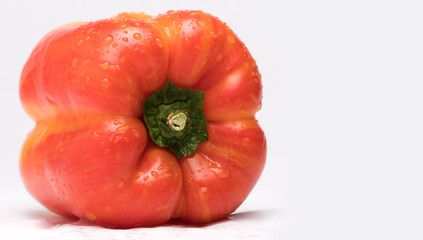 Variegated pepper red and yellow with water droplets on white background. Health Concept with front view