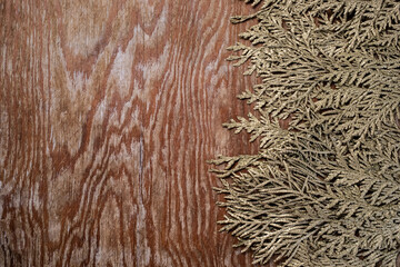 golden branches on old wooden surface, copy space