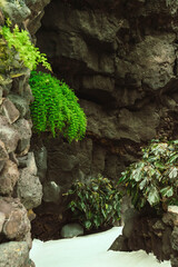 Lanzarote