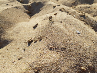 Sand on the beach