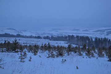 winter field in the snow valley with hills and fir trees forest frosty morning with fog, Siberia, Russia
