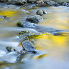 Aller river, Aller council, Asturias, Spain, Europe