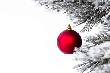 Christmas decorations on the pine branch