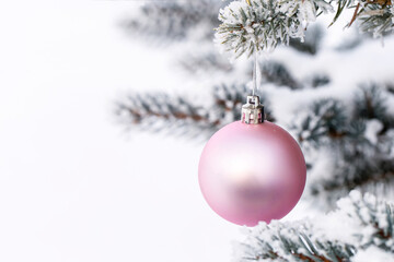 Christmas decorations on the pine branch