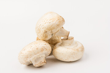 Fresh Champignon mushroom, isolated on white background. Close-up