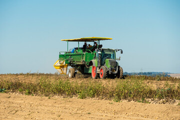 Fototapeta premium Traktor mit Kartoffelroder auf einem Acker