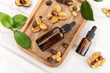 Camellia essential oil bottle and camellia seeds on wooden tray. Beauty, skin care, wellness