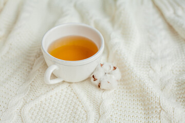 A mug of hot tea on a knitted blanket. Cozy autumn. Winter breakfast. Cotton.