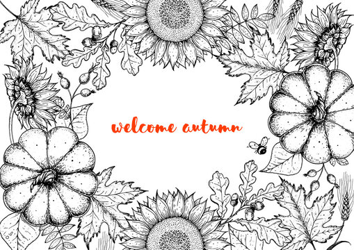Autumn design template. Sketch design. Harvest festival. Hand drawn frame with fall leaves, pumpkin and sunflower. Vector illustration. Autumn bouquets.