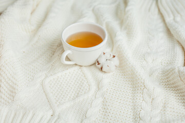 A mug of hot tea on a knitted blanket. Cozy autumn. Winter breakfast. Cotton.