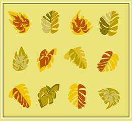 Set of autumn leaves. Autumn. Orange and yellow leaves. Maple, monstera, birch, Rowan, aspen. Isolated objects. Vector illustration.