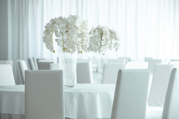 Empty restaurant luxury interior background. Empty chair and table inside room photo. White restaurant interior.