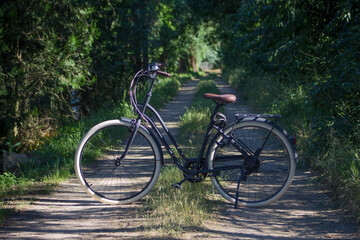 Fototapeta premium Retro Bicycle in a Beautiful Nature background