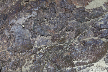 Close-up of a stone river bank with cracks in the design texture of gray in the Altai mountains. Background for wallpaper, post or illustrations in social networks.