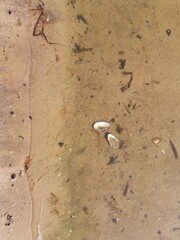 water on the beach