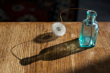 Dried dandelion in a small green glass bottle on a wooden table