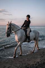 horse on the beach