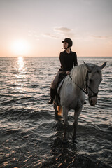 silhouette of a horse