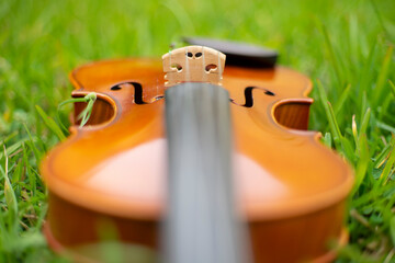 String instrument classical music brown violin outdoor at day
