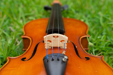 String instrument classical music brown violin outdoor at day