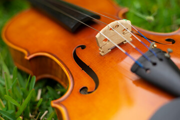 String instrument classical music brown violin outdoor at day