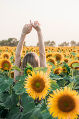 summer field sunflowers girl