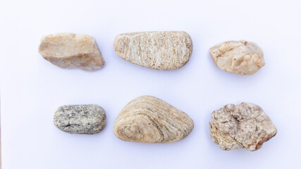 Fototapeta na wymiar Scales from a stone isolated on a white background.Sea stones on white background