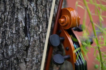 String instrument classical music brown violin outdoor at day