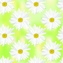 The chamomile flower. Seamless floral texture white of Daisy flower on a light green abstract background, geometric pattern, vector.
