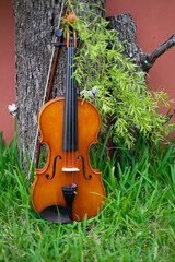 Fototapeta na wymiar String instrument classical music brown violin outdoor at day