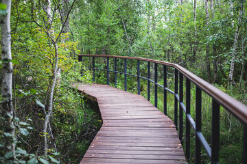Fototapeta na wymiar Summer view of wooden walkway on the territory of Sestroretsk swamp, ecological trail path - route walkways laid in the swamp, reserve 