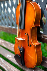 String instrument classical music brown violin outdoor at day