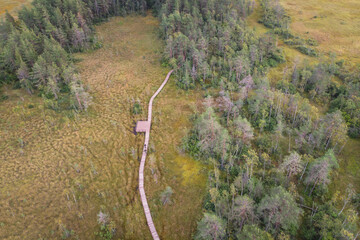 Summer view of wooden walkway on the territory of Sestroretsk swamp, ecological trail path - route...