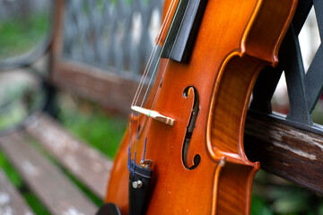 String instrument classical music brown violin outdoor at day