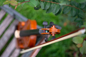 String instrument classical music brown violin outdoor at day © Salvador