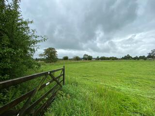 Open farm gate, leading into a large green meadow, with trees on the horizon near, Skipton,...