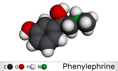 Phenylephrine molecule. It is nasal decongestant with potent vasoconstrictor property. Molecular model